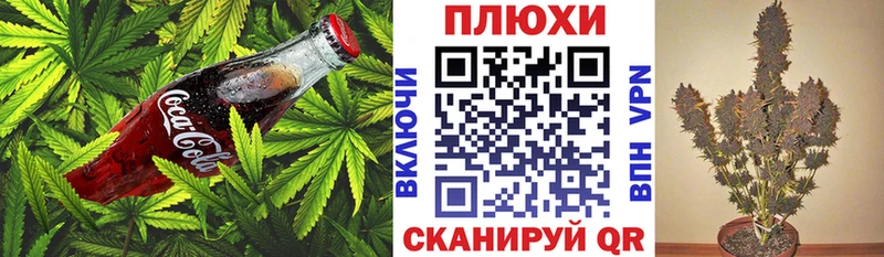 Cannafood марихуана  Михайловск 