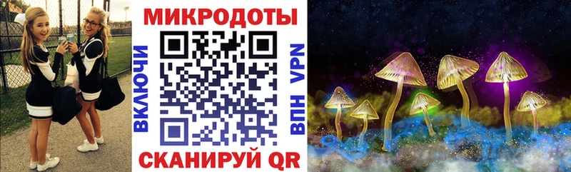 Псилоцибиновые грибы прущие грибы  shop какой сайт  Михайловск 